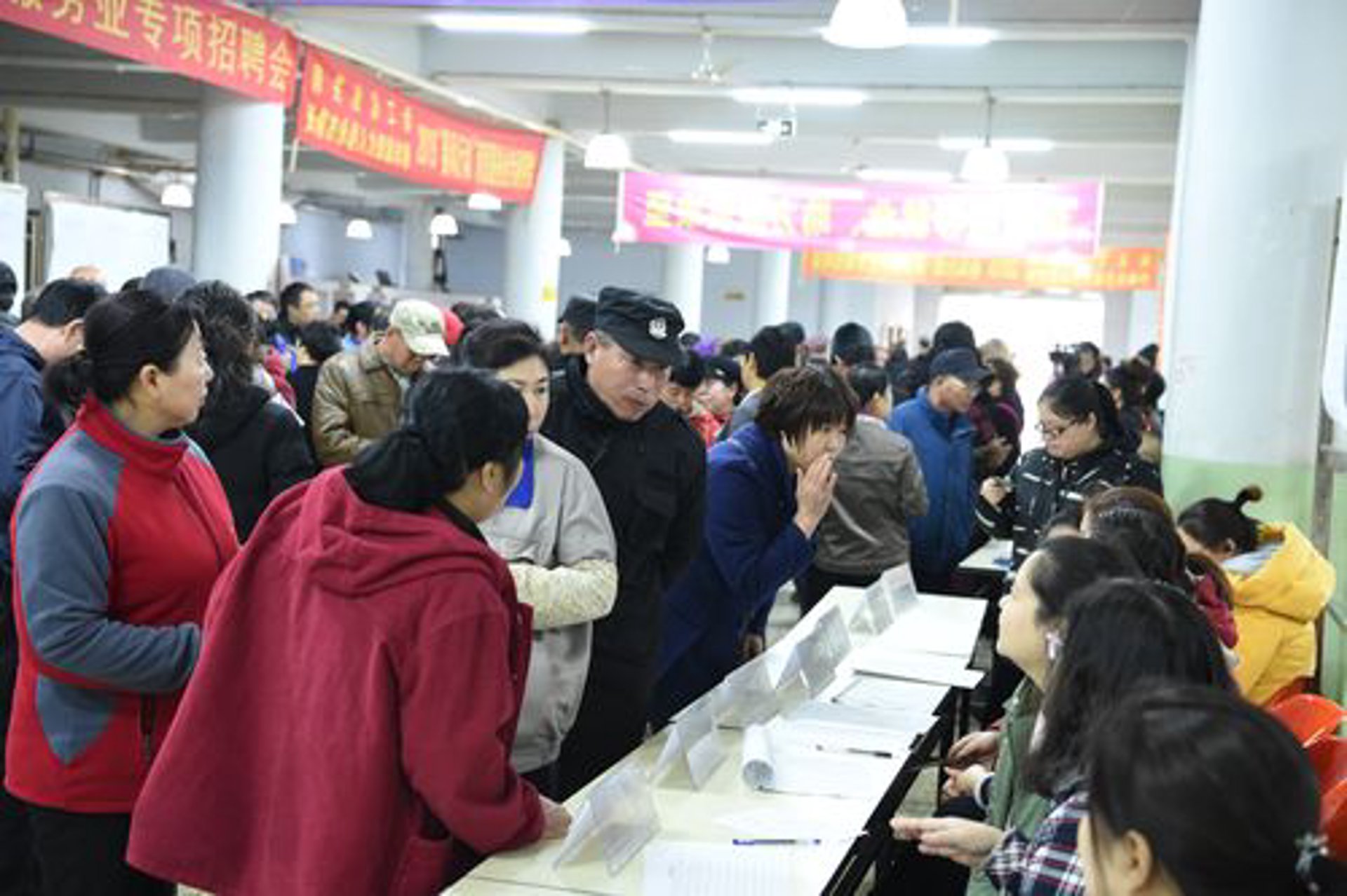 启瑛招聘网